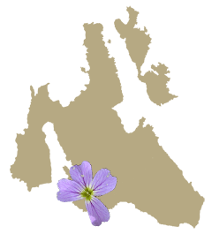 Kefalonia Island